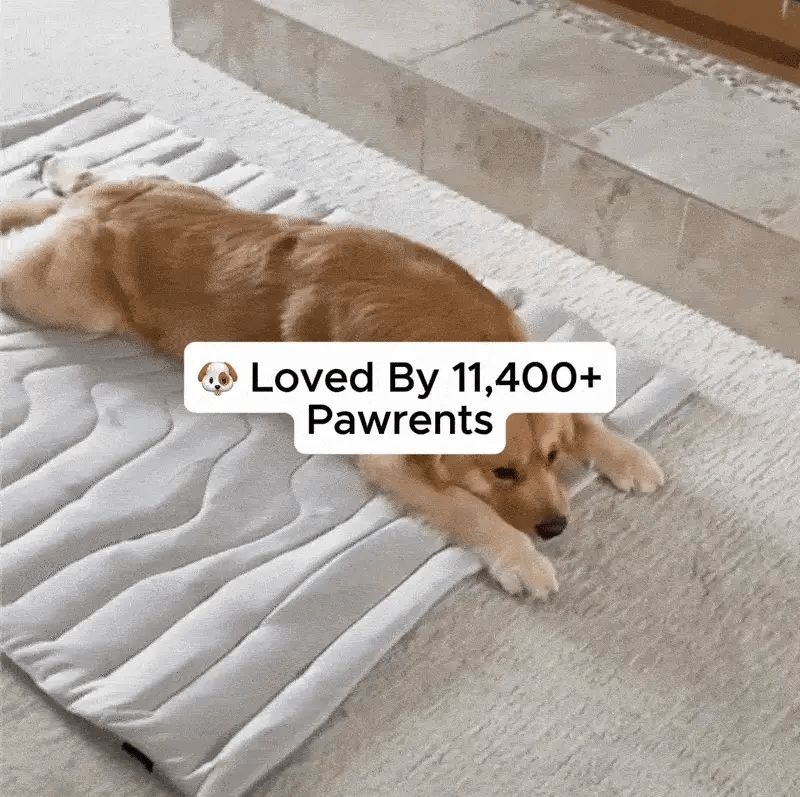 🐶DOG COOLING MAT❄️SUMMER BIG SALE🔥LIMITED TIME 50% OFF✅