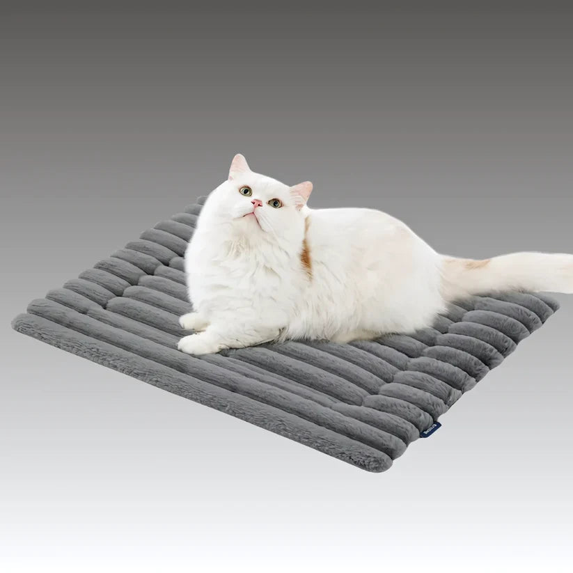 Non-Electric Self Warming Pet Mat ✨ 50% OFF Limited Offer, Winter Warm Thermal Bed for Pets