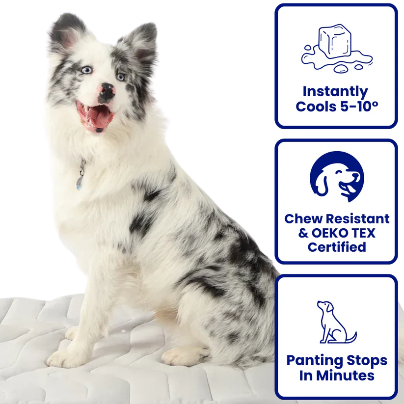 🐶DOG COOLING MAT❄️SUMMER BIG SALE🔥LIMITED TIME 50% OFF✅