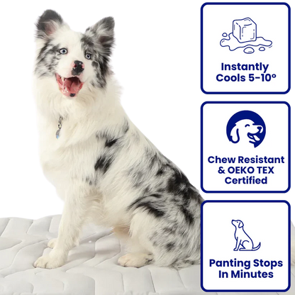 🐶DOG COOLING MAT❄️SUMMER BIG SALE🔥LIMITED TIME 50% OFF✅