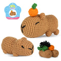 Capybara Crochet DIY Kit for Starters | Complete Supplies with Instruction Guide