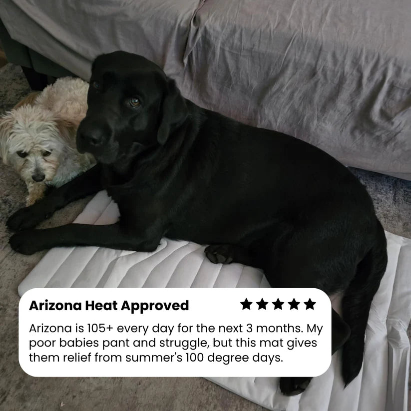 🐶DOG COOLING MAT❄️SUMMER BIG SALE🔥LIMITED TIME 50% OFF✅