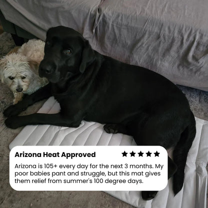 🐶DOG COOLING MAT❄️SUMMER BIG SALE🔥LIMITED TIME 50% OFF✅