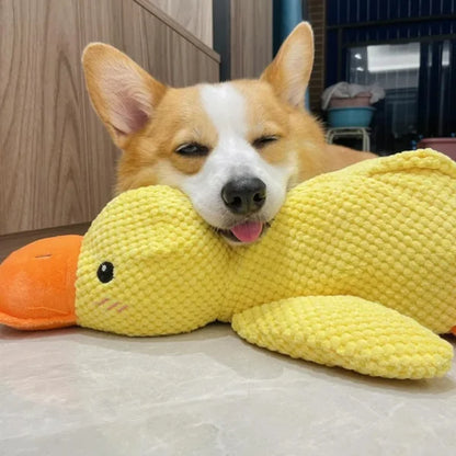 Yellow Calming Duck