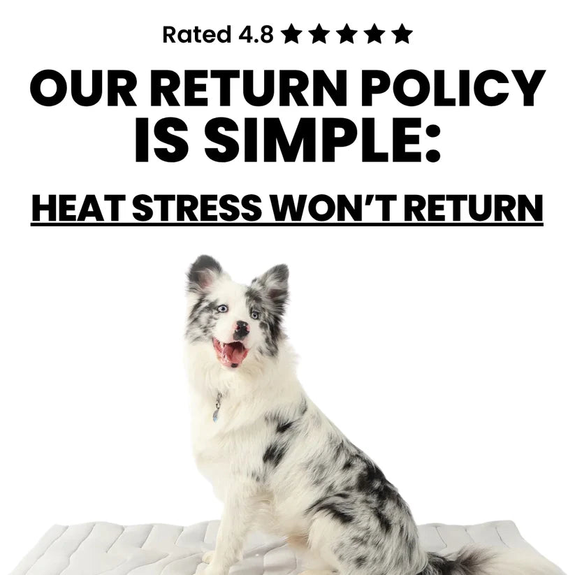 🐶DOG COOLING MAT❄️SUMMER BIG SALE🔥LIMITED TIME 50% OFF✅