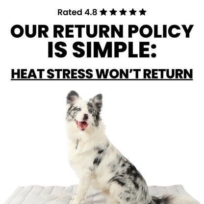 🐶DOG COOLING MAT❄️SUMMER BIG SALE🔥LIMITED TIME 50% OFF✅