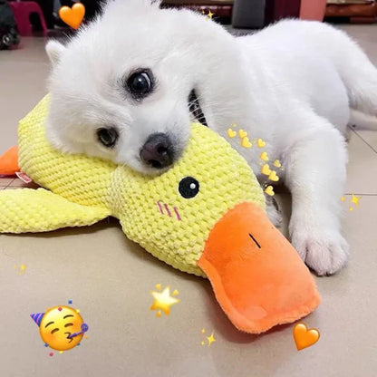 Yellow Calming Duck