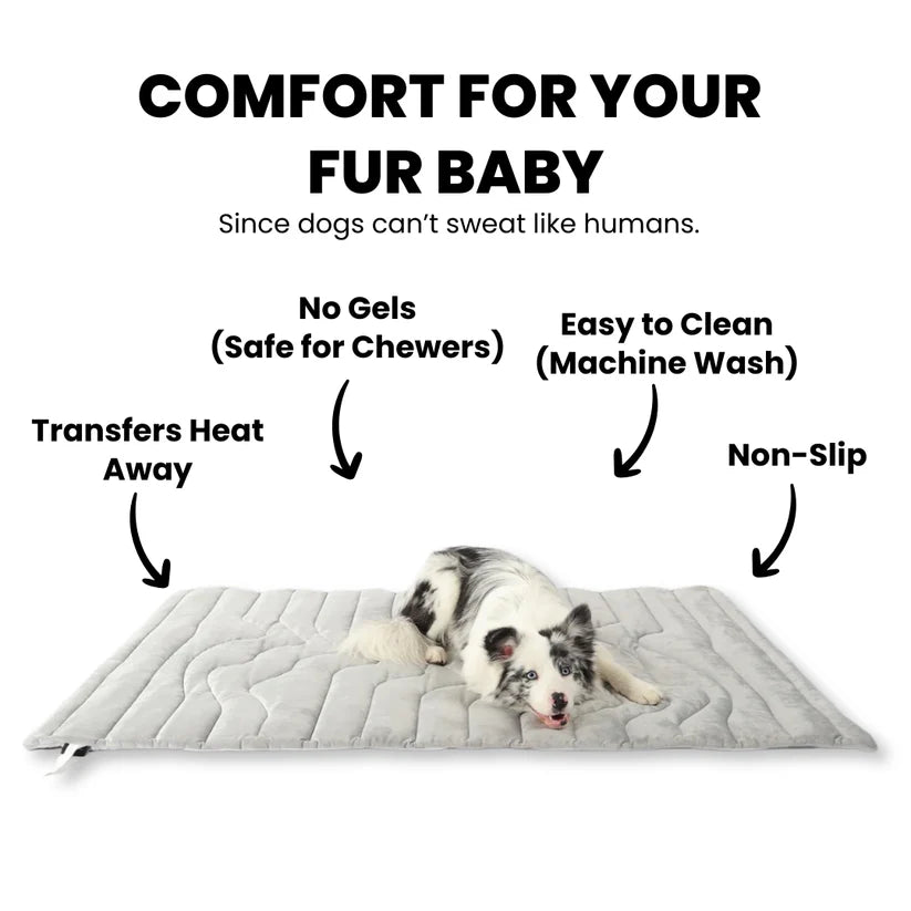 🐶DOG COOLING MAT❄️SUMMER BIG SALE🔥LIMITED TIME 50% OFF✅