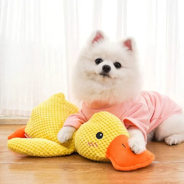 Yellow Calming Duck