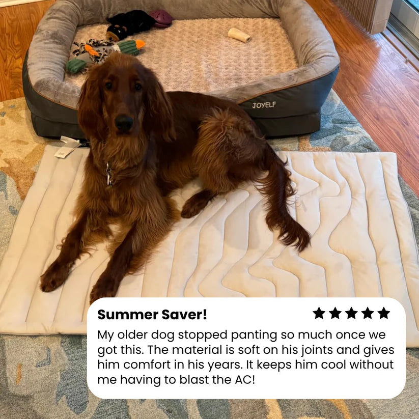 🐶DOG COOLING MAT❄️SUMMER BIG SALE🔥LIMITED TIME 50% OFF✅