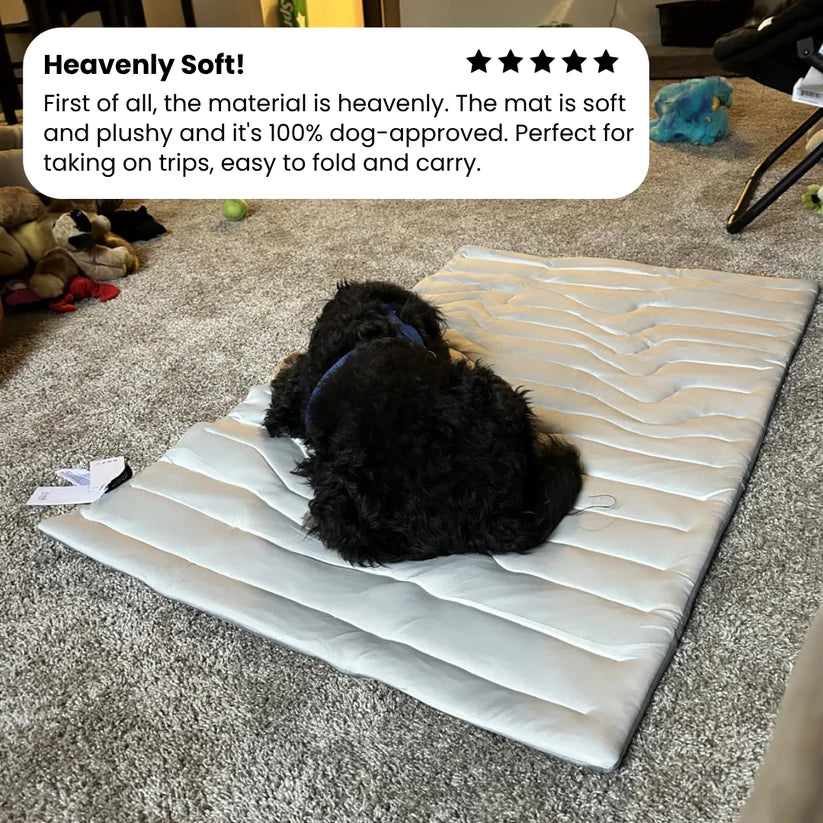 🐶DOG COOLING MAT❄️SUMMER BIG SALE🔥LIMITED TIME 50% OFF✅