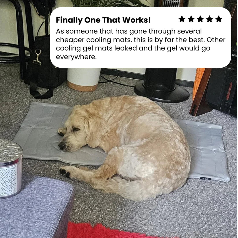 🐶DOG COOLING MAT❄️SUMMER BIG SALE🔥LIMITED TIME 50% OFF✅